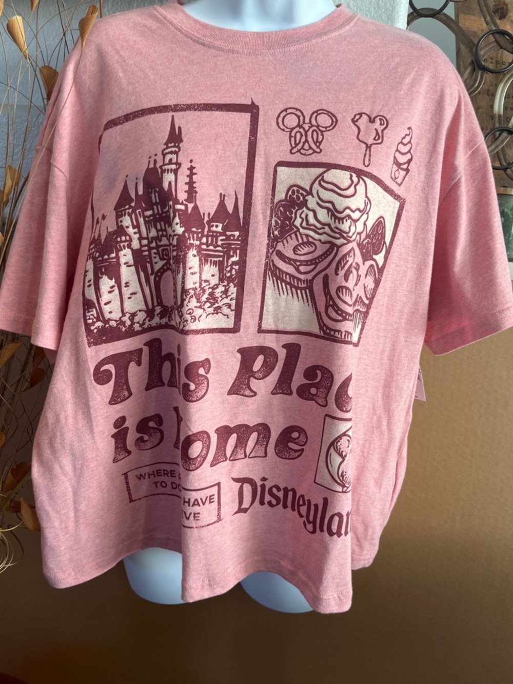 Disneyland  This Place is Home